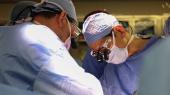 Cirurgies transplantam 1 rim de porco modificado em um ser humano vivo